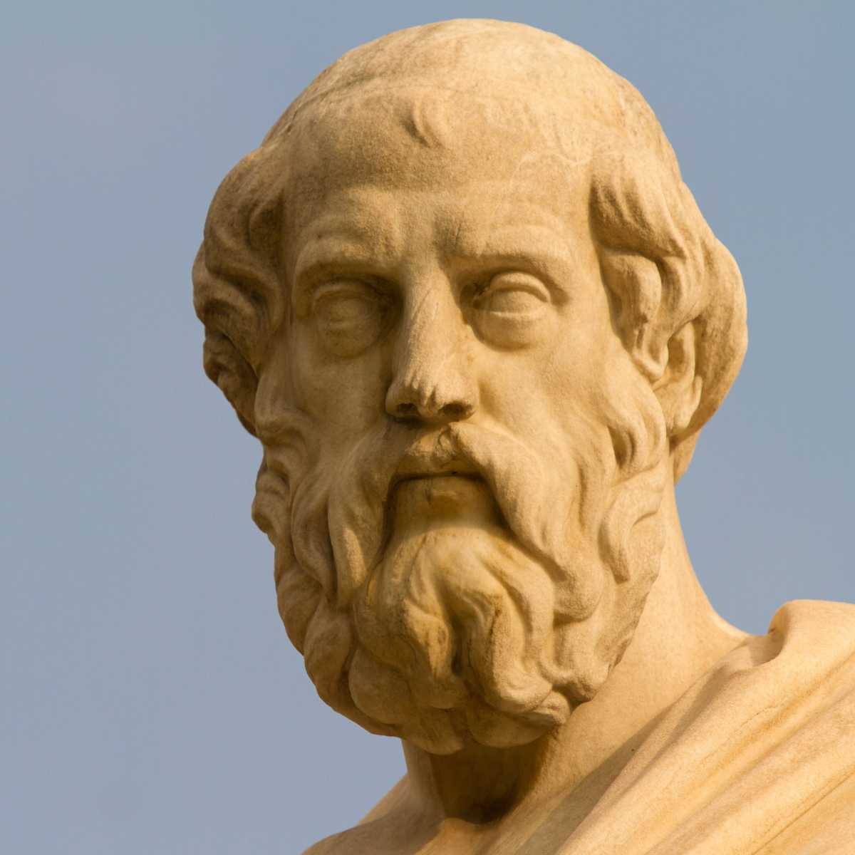 Plato Bust