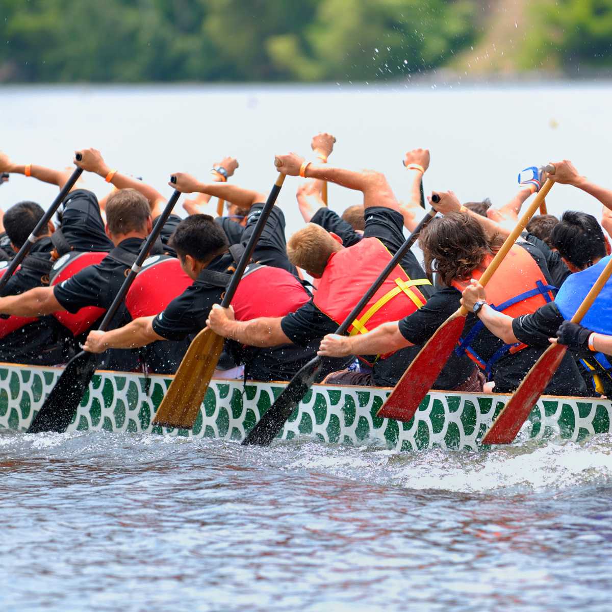 dragon boat race